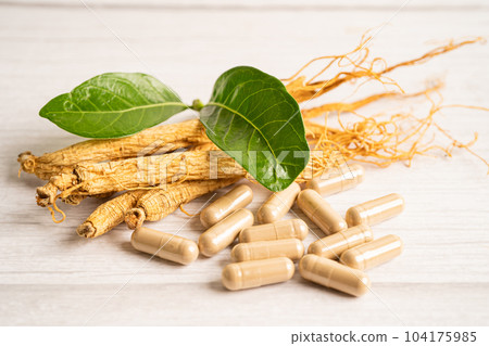 Ginseng, dried vegetable herb. Healthy food famous export food in Korea country. Ginseng, dried vegetable herb. Healthy food famous export food in Korea country. 104175985