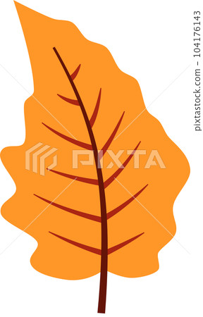 Autumn fall leaves decoration element, flat style illustration. 104176143