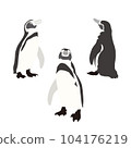 企鵝圖 104176219