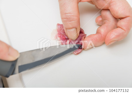 [家庭主婦用血準備烤雞肉串心] 104177132