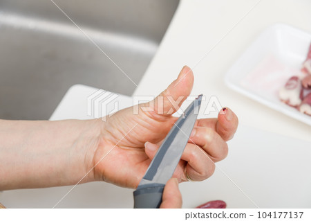 [家庭主婦用血準備烤雞肉串心] 104177137