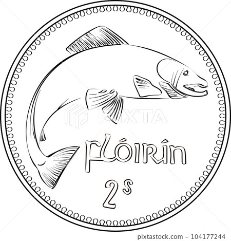 Irish money Pre-decimal silver Florin coin 104177244