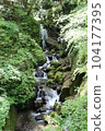 從岐阜縣養老瀑布流出的清澈河流和新綠景觀 104177395