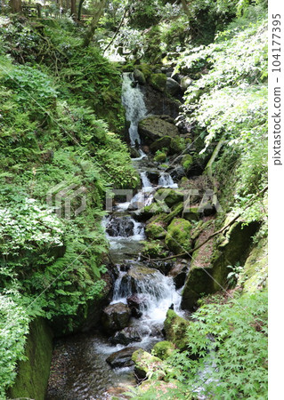 從岐阜縣養老瀑布流出的清澈河流和新綠景觀 104177395