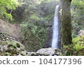岐阜縣養老瀑布和清新的綠色風景 104177396