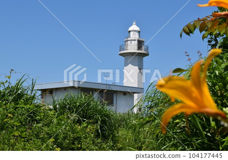 Danzaki Lighthouse in early summer, Niigata Danzaki Lighthouse in early summer, Niigata 104177445