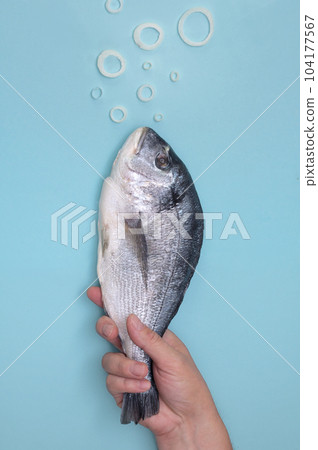 Man Holding Dorada Fish Swimming. Underwater Air Bubbles 104177567