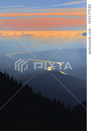 Pine trees and Olt River in Fagaras mountains, Romania 104177588