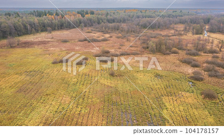 Partly abandoned meadows autumnal forest 104178157