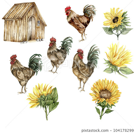 Watercolor wooden farmhouse. sunflowers and cock. Hand drawn illustration of a farm. Perfect for wedding invitation, greetings card, posters. 104178299