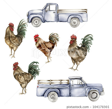 Watercolor drawing cock and truck. Hand drawn rooster, artistic painting illustration of fowl. Watercolor illustration of hen. Perfect for wedding invitation, greetings card, posters. 104178301