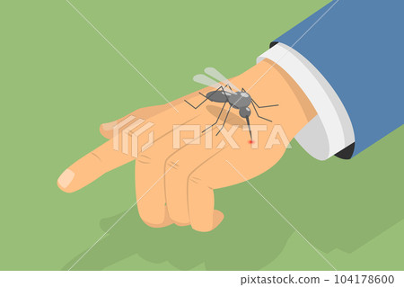 3D Isometric Flat Vector Conceptual Illustration of Misquito Bite 104178600