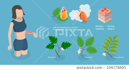 3D Isometric Flat Vector Conceptual Illustration of Poison Ivy 104178605