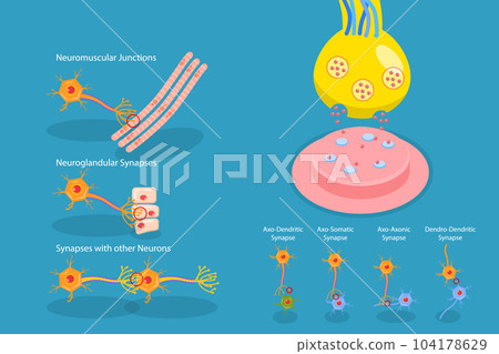 3D Isometric Flat Vector Conceptual Illustration of Synapse 104178629
