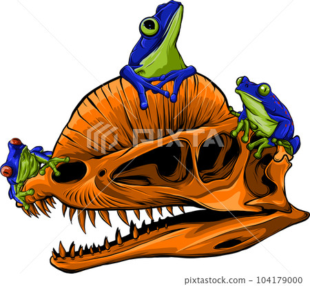 vector illustration of Carnivore dinosars skulls with frog 104179000