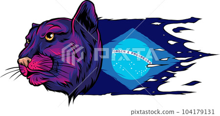 vector illustration of Brazil flag with jaguar head 104179131