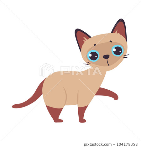 Funny Brown Cat with Cute Snout as Domestic Pet Walking Vector Illustration 104179358