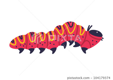 Red Caterpillar as Larval Stage of Insect Crawling and Creeping Vector Illustration Red Caterpillar as Larval Stage of Insect Crawling and Creeping Vector Illustration 104179374