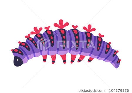 Purple Caterpillar as Larval Stage of Insect Crawling and Creeping Vector Illustration Purple Caterpillar as Larval Stage of Insect Crawling and Creeping Vector Illustration 104179376