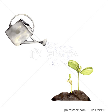watering can sprout soil watering can sprout soil 104179995
