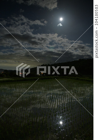 Nagasaka-cho, Hokuto City, 14.5 years old and flowing clouds. A rice field reflecting the moon. bright moonlit night Nagasaka-cho, Hokuto City, 14.5 years old and flowing clouds. A rice field reflecting the moon. bright moonlit night 104180583
