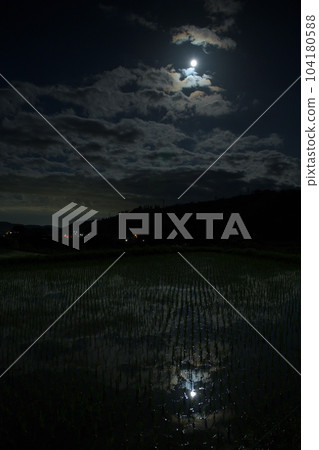 Nagasaka-cho, Hokuto City, 14.5 years old and flowing clouds. A rice field reflecting the moon. bright moonlit night 104180588