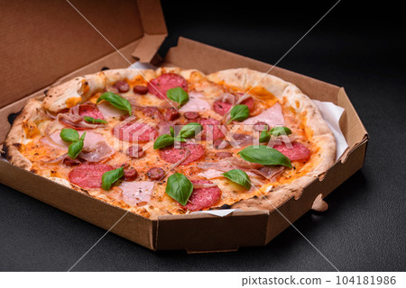 Delicious fresh oven baked pizza with salami, meat, cheese, tomatoes 104181986