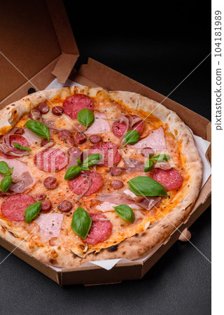 Delicious fresh oven baked pizza with salami, meat, cheese, tomatoes 104181989