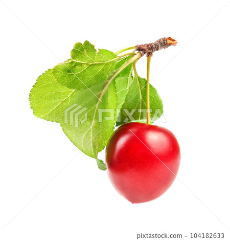 Red mirabele plums (Prunus domestica syriaca) fruit with green leaf and stem isolated on white background 104182633