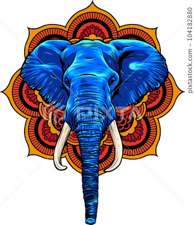 vector color illustration of head African elephant vector color illustration of head African elephant 104182880