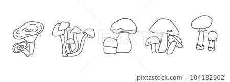 Mushroom Set Line Art Logo Mushroom Set Line Art Logo 104182902