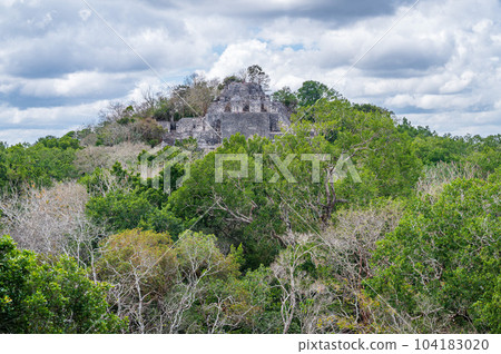 Maya Ruins in the Jungle Maya Ruins in the Jungle 104183020