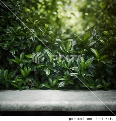 Empty table background with green leaves, botanical product placement background Empty table background with green leaves, botanical product placement background 104183419