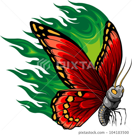 vector Illustration of a butterfly made of fire vector Illustration of a butterfly made of fire 104183500