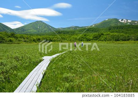 Tashirodaira marsh in summer 104183885
