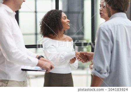 Smiling multiethnic businesspeople shaking hand in office Smiling multiethnic businesspeople shaking hand in office 104183924