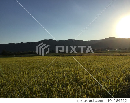 Rural landscape Rural landscape 104184512