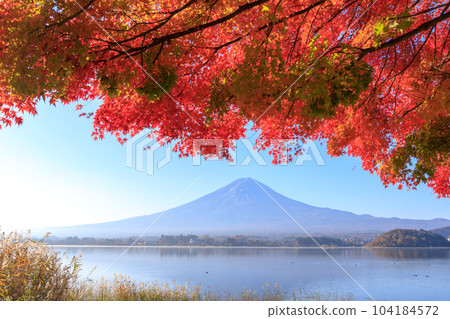 “山梨縣”富士山和紅葉河口湖 104184572