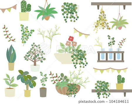 Illustration set of foliage plants and succulents for adult cute women Illustration set of foliage plants and succulents for adult cute women 104184611