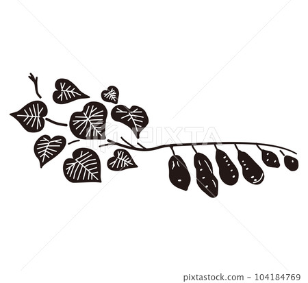 紅薯和藤蔓(黑色)的插圖 紅薯和藤蔓(黑色)的插圖 104184769
