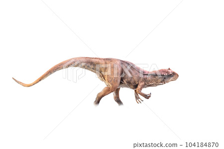 dinosaur , Allosaurus on isolated background 104184870