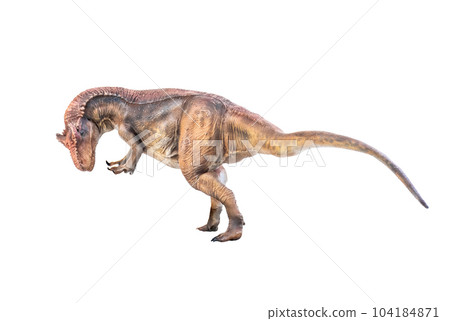 dinosaur , Allosaurus on isolated background 104184871