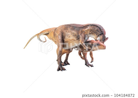 dinosaur , Allosaurus on isolated background 104184872