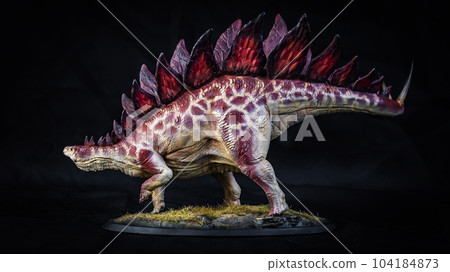 Dinosaur stegosaurus in the dark 104184873