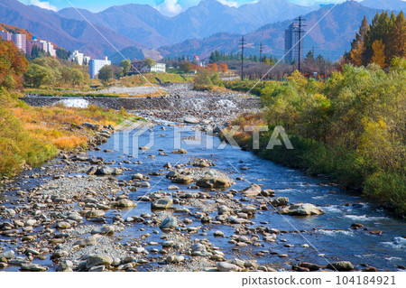 從立良橋眺望魚野川 秋景 新潟縣湯澤町 從立良橋眺望魚野川 秋景 新潟縣湯澤町 104184921