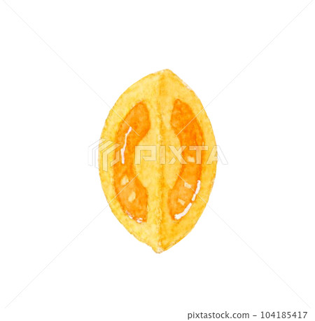 1/4切橙子櫻桃番茄夏季蔬菜手繪水彩插畫素材 104185417