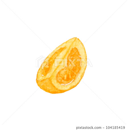 1/4 cut orange cherry tomato Summer vegetable hand-painted watercolor illustration material 104185419