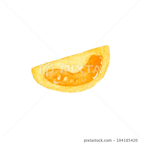 1/4切橙子櫻桃番茄夏季蔬菜手繪水彩插畫素材 104185420