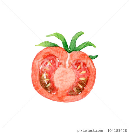 Red petit tomato cut in half Hand drawn watercolor illustration material of summer vegetables Red petit tomato cut in half Hand drawn watercolor illustration material of summer vegetables 104185428