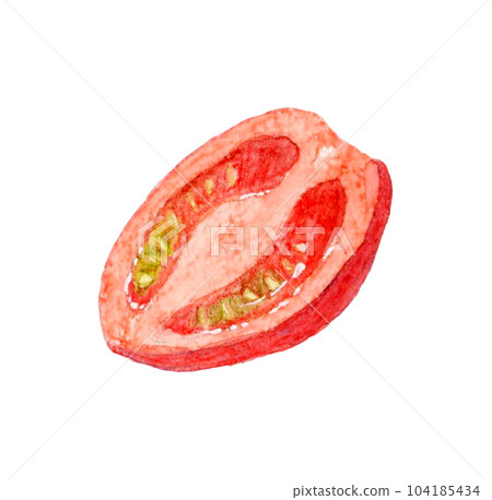 Red petit tomato cut in half Hand drawn watercolor illustration material of summer vegetables Red petit tomato cut in half Hand drawn watercolor illustration material of summer vegetables 104185434